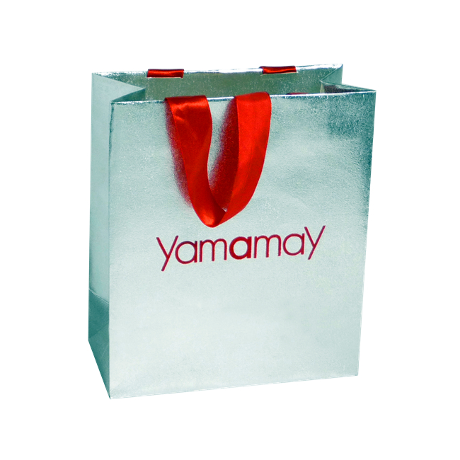 Silver Gift Paper Bag
